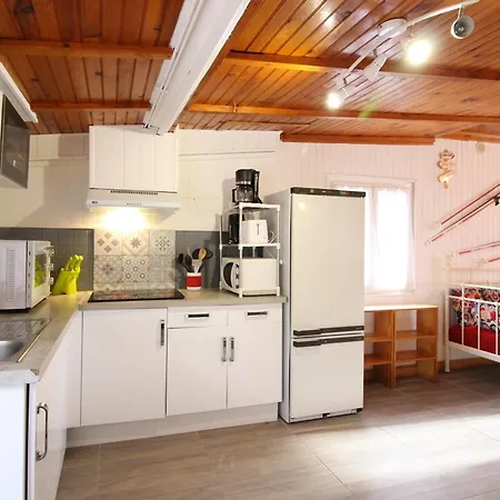 Appartement 10 Couchages Avec Wifi, Animaux Admis - Fr-1-415-166
